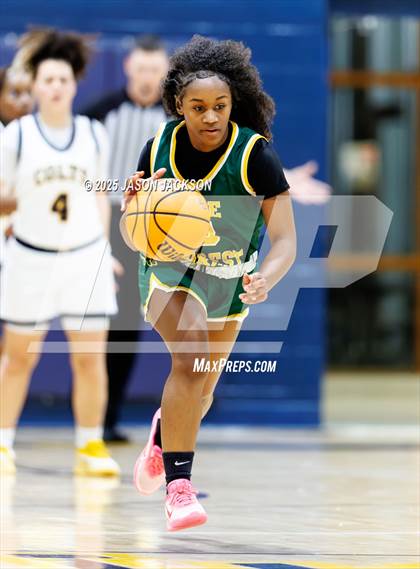 Thumbnail 2 in Pine Forest @ Cape Fear photogallery.