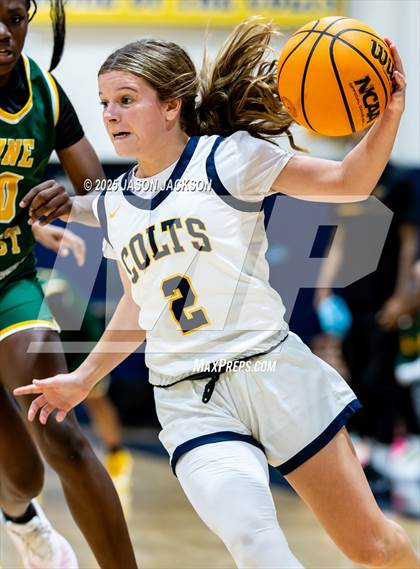 Thumbnail 3 in Pine Forest @ Cape Fear photogallery.