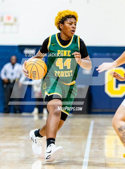 Thumbnail 3 in Pine Forest @ Cape Fear photogallery.