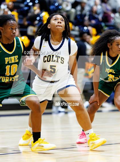 Thumbnail 1 in Pine Forest @ Cape Fear photogallery.