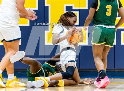 Thumbnail 3 in Pine Forest @ Cape Fear photogallery.