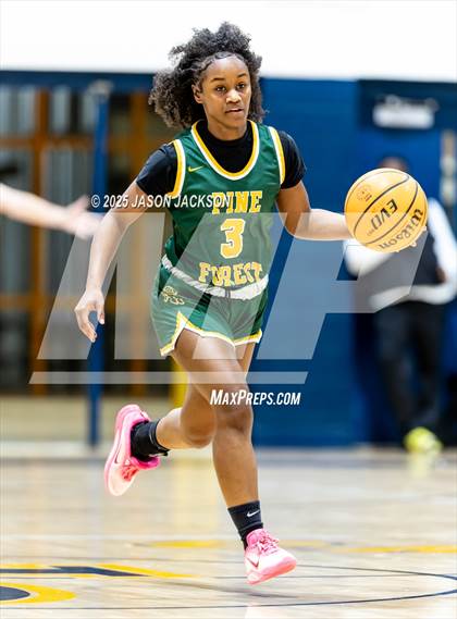 Thumbnail 3 in Pine Forest @ Cape Fear photogallery.