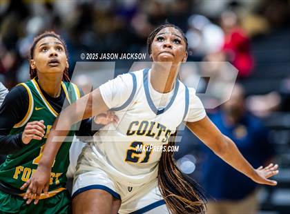 Thumbnail 2 in Pine Forest @ Cape Fear photogallery.