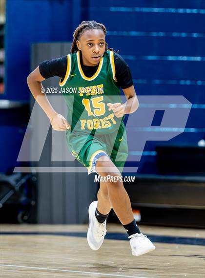 Thumbnail 1 in Pine Forest @ Cape Fear photogallery.