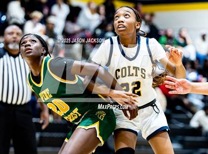 Thumbnail 3 in Pine Forest @ Cape Fear photogallery.