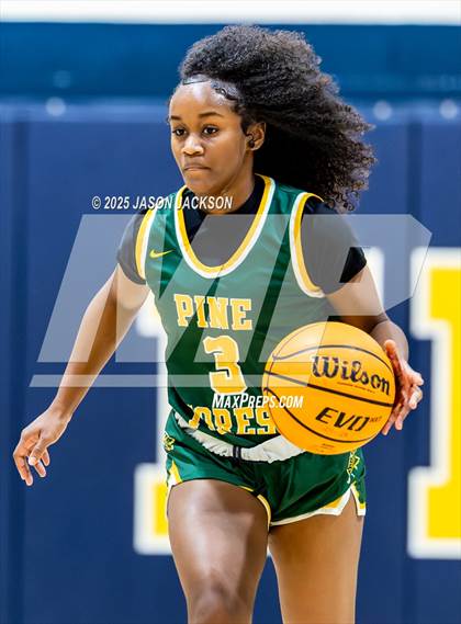 Thumbnail 1 in Pine Forest @ Cape Fear photogallery.