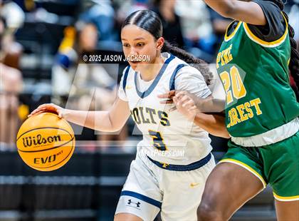 Thumbnail 1 in Pine Forest @ Cape Fear photogallery.