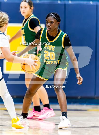 Thumbnail 1 in Pine Forest @ Cape Fear photogallery.