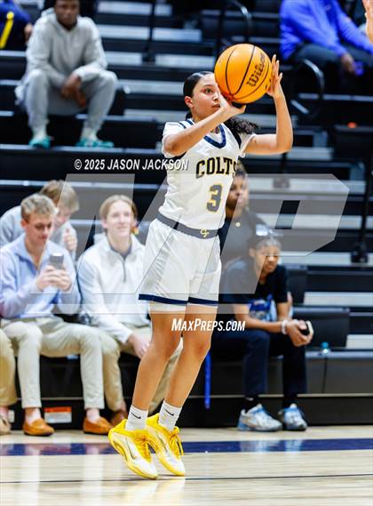 Thumbnail 1 in Pine Forest @ Cape Fear photogallery.