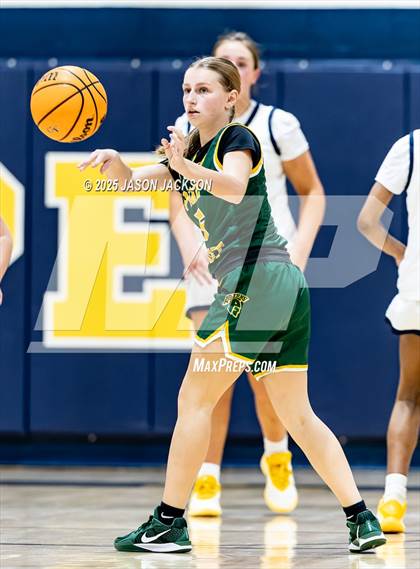 Thumbnail 1 in Pine Forest @ Cape Fear photogallery.