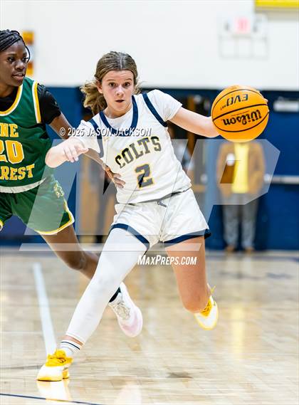 Thumbnail 2 in Pine Forest @ Cape Fear photogallery.