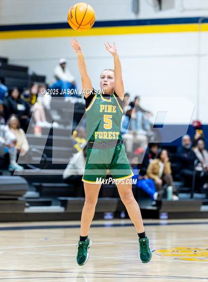 Thumbnail 2 in Pine Forest @ Cape Fear photogallery.