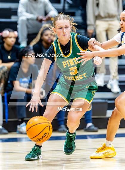 Thumbnail 1 in Pine Forest @ Cape Fear photogallery.