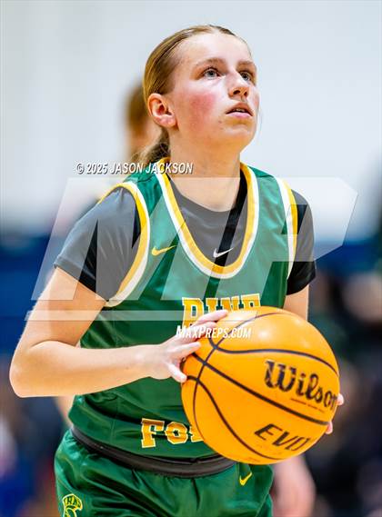 Thumbnail 1 in Pine Forest @ Cape Fear photogallery.