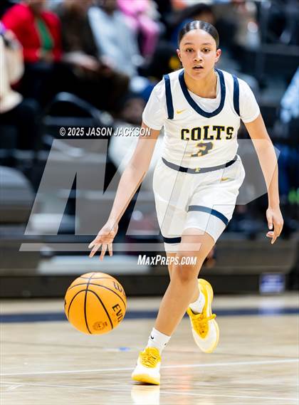 Thumbnail 2 in Pine Forest @ Cape Fear photogallery.