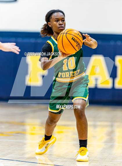 Thumbnail 3 in Pine Forest @ Cape Fear photogallery.