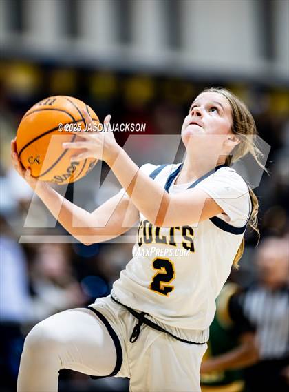 Thumbnail 2 in Pine Forest @ Cape Fear photogallery.