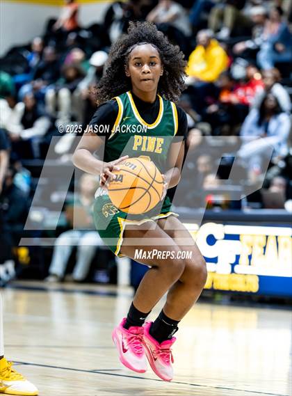 Thumbnail 2 in Pine Forest @ Cape Fear photogallery.