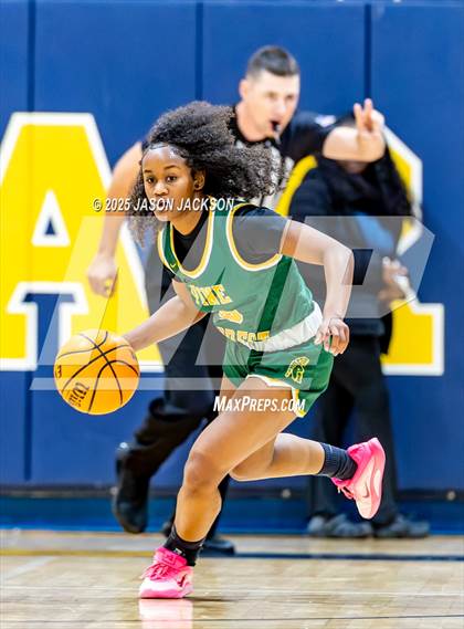 Thumbnail 2 in Pine Forest @ Cape Fear photogallery.