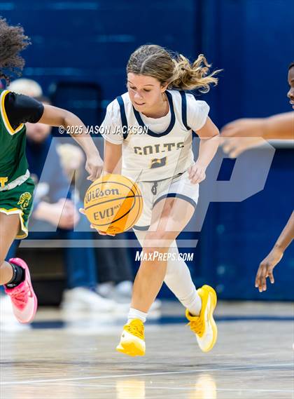 Thumbnail 2 in Pine Forest @ Cape Fear photogallery.