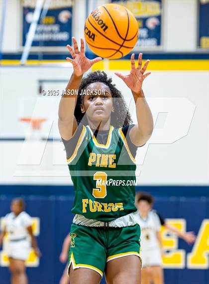 Thumbnail 3 in Pine Forest @ Cape Fear photogallery.