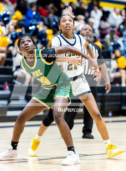 Thumbnail 2 in Pine Forest @ Cape Fear photogallery.