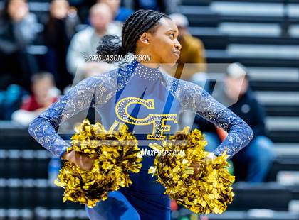 Thumbnail 2 in Pine Forest @ Cape Fear photogallery.