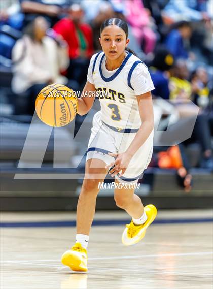 Thumbnail 3 in Pine Forest @ Cape Fear photogallery.