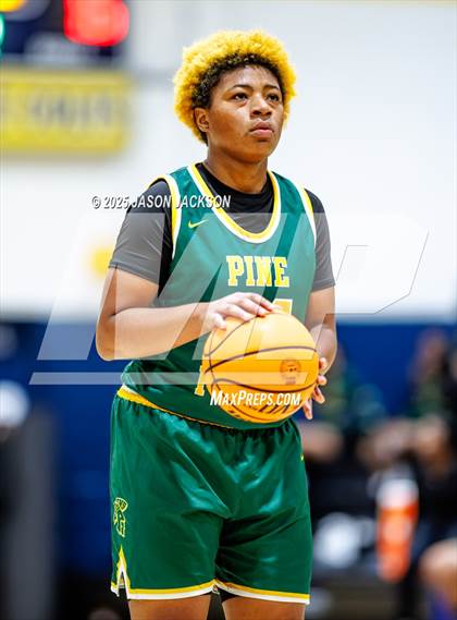 Thumbnail 3 in Pine Forest @ Cape Fear photogallery.