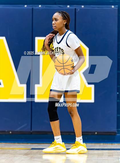 Thumbnail 1 in Pine Forest @ Cape Fear photogallery.