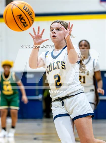 Thumbnail 1 in Pine Forest @ Cape Fear photogallery.