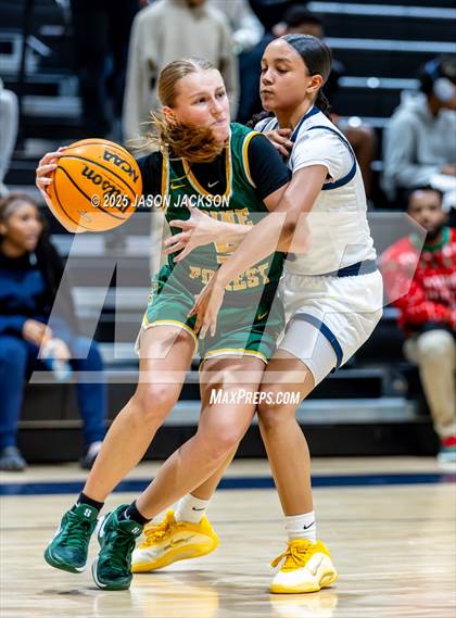 Thumbnail 3 in Pine Forest @ Cape Fear photogallery.