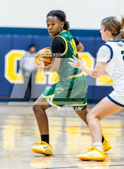 Thumbnail 2 in Pine Forest @ Cape Fear photogallery.