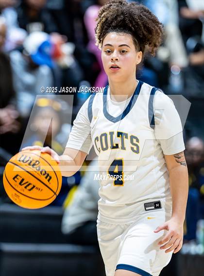 Thumbnail 2 in Pine Forest @ Cape Fear photogallery.