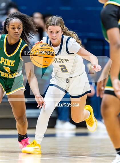 Thumbnail 3 in Pine Forest @ Cape Fear photogallery.