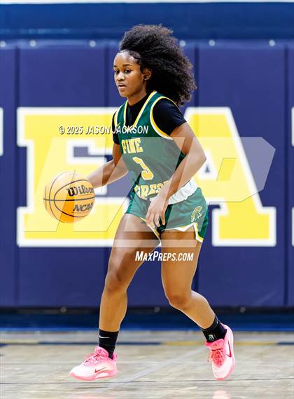 Thumbnail 1 in Pine Forest @ Cape Fear photogallery.