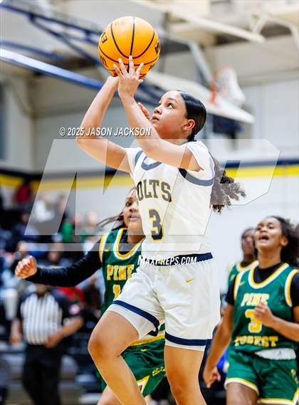 Thumbnail 1 in Pine Forest @ Cape Fear photogallery.