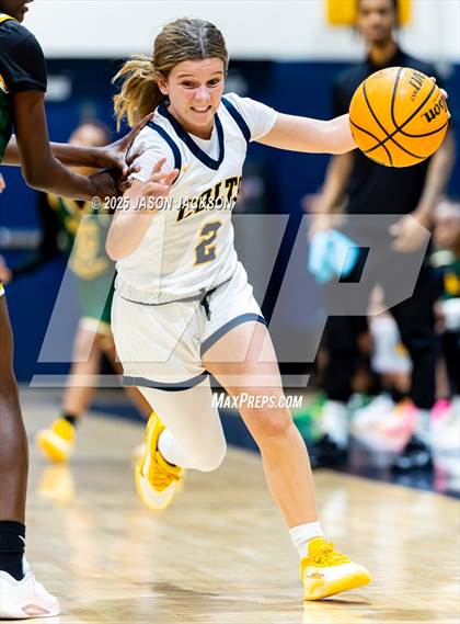 Thumbnail 1 in Pine Forest @ Cape Fear photogallery.