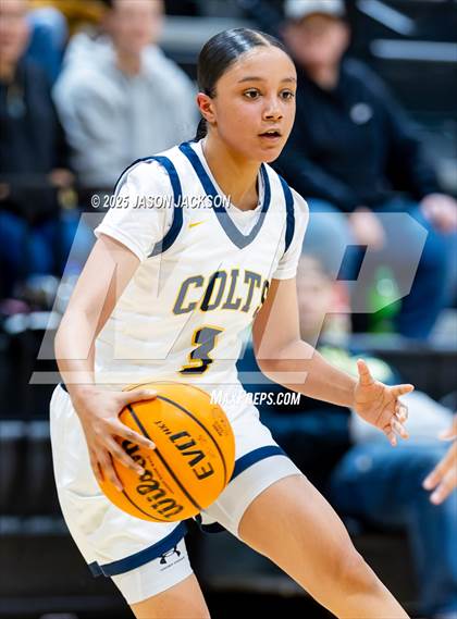 Thumbnail 3 in Pine Forest @ Cape Fear photogallery.