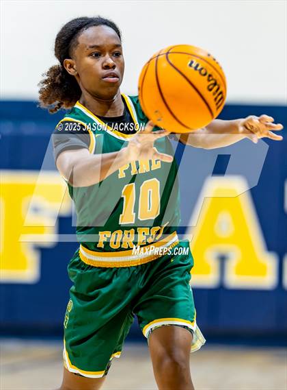 Thumbnail 1 in Pine Forest @ Cape Fear photogallery.