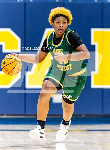 Thumbnail 1 in Pine Forest @ Cape Fear photogallery.