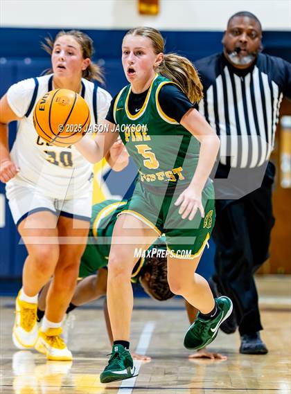 Thumbnail 2 in Pine Forest @ Cape Fear photogallery.