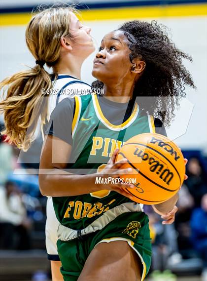 Thumbnail 3 in Pine Forest @ Cape Fear photogallery.