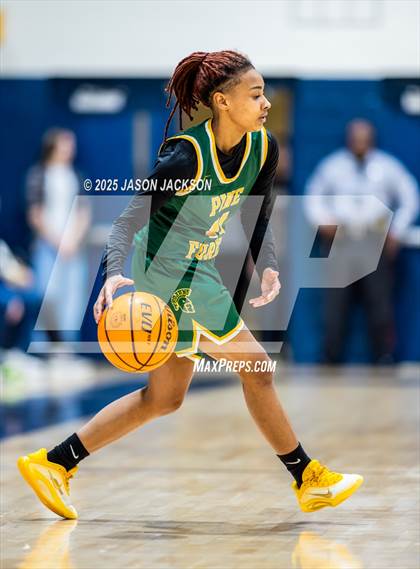 Thumbnail 1 in Pine Forest @ Cape Fear photogallery.