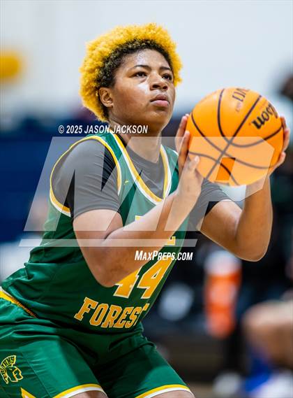 Thumbnail 1 in Pine Forest @ Cape Fear photogallery.