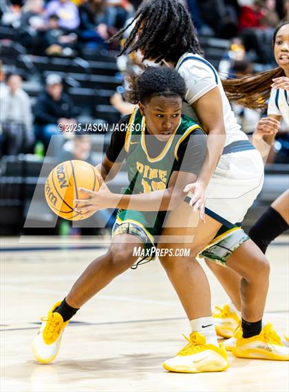 Thumbnail 3 in Pine Forest @ Cape Fear photogallery.