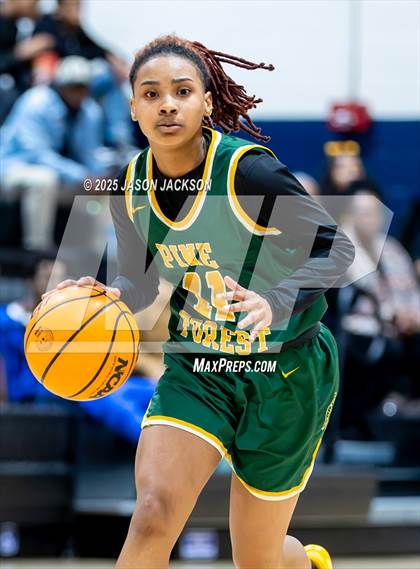 Thumbnail 1 in Pine Forest @ Cape Fear photogallery.