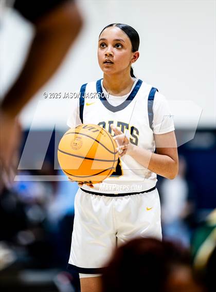 Thumbnail 2 in Pine Forest @ Cape Fear photogallery.