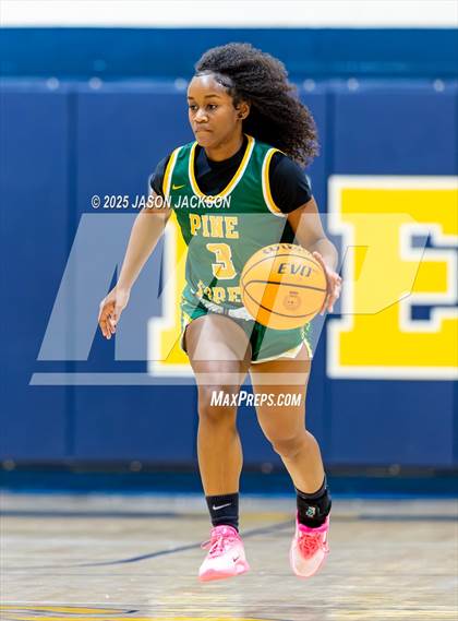 Thumbnail 3 in Pine Forest @ Cape Fear photogallery.