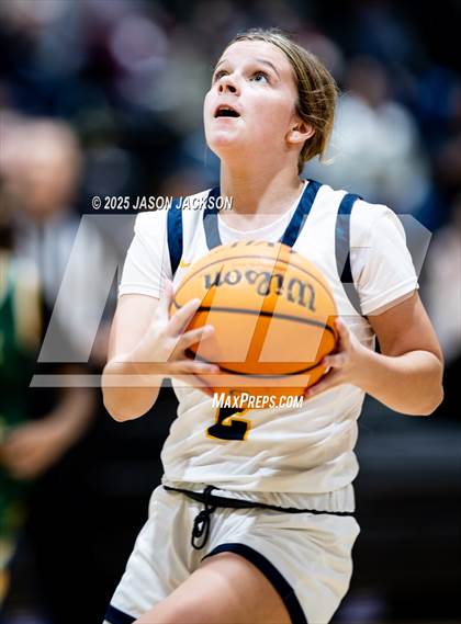 Thumbnail 1 in Pine Forest @ Cape Fear photogallery.